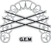 GEM - Grupo de Estudos Mauricio